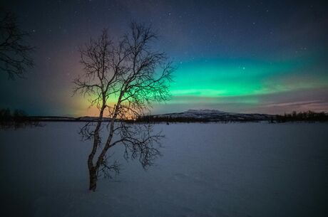 İzmir Çıkışlı Sömestre ve Sevgililer Gününe Özel Lapland Turu Kuzey Işıkları Rotası 