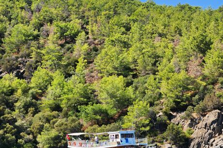 Datça Badem Çiçeği Festivali