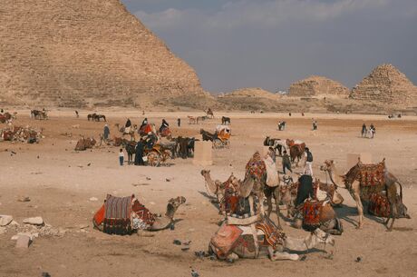 İzmir Hareketli Baştan Başa Mısır