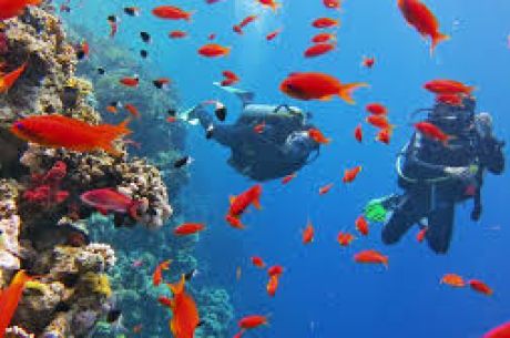 Şeker Bayramı Özel İzmir Hareketli Sharm ve Kahire – Sharm’da Her Şey Dahil Konaklama