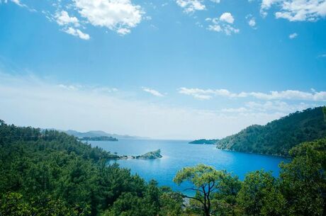 Datça Badem Çiçeği Festivali