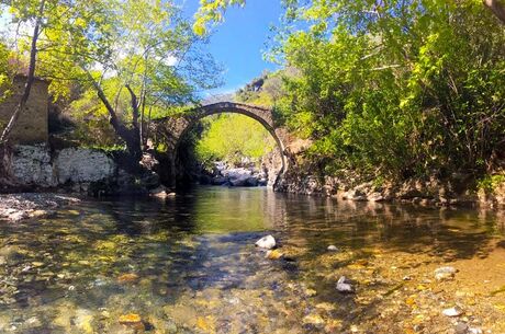 Kazdağları Ayvalık Cunda Turu