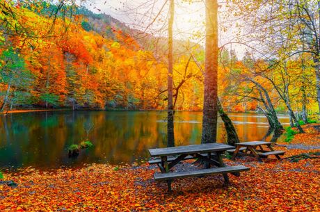 Batı Karadeniz, Şile Ağva ve Yedigöller Turu