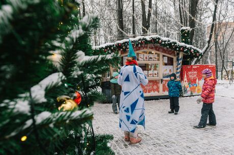 Lapland & Kuzey Işıkları Rüyası