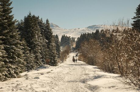 Bursa ve Uludağ Kayak Turu